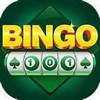 Bingo 101 App